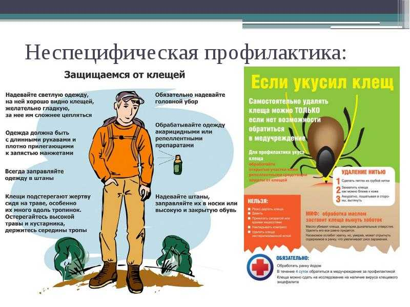 Филиал Федерального бюджетного учреждения здравоохранения «Центр гигиены и эпидемиологии в Донецкой Народной Республике» в городе Макеевка и Ясиноватском районе информирует о консультировании граждан по вопросу профилактики инфекций, передающихся клещами!.