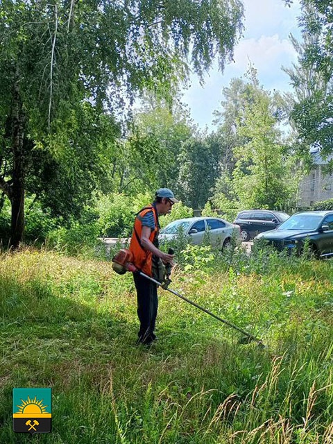 В Макеевке ведётся активная работа по покосу карантинных трав, в том числе на придомовых территориях.