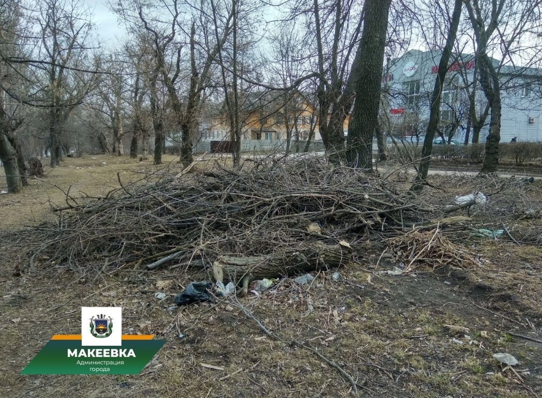 Мониторинговые группы по выявлению проблемных участков по территории города продолжают свою работу..