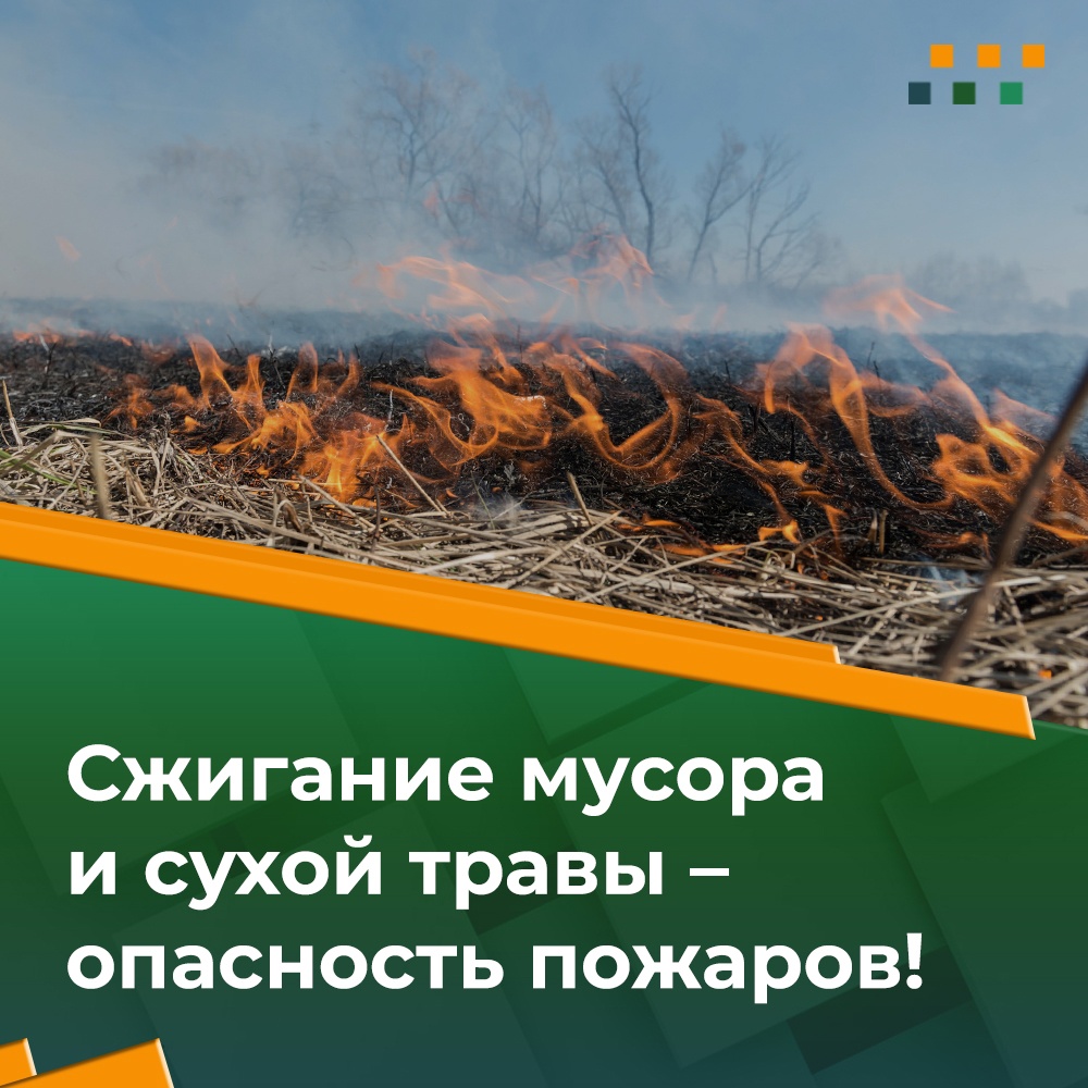 Сход снежного покрова и установление весенней солнечной погоды ежегодно становятся причиной увеличения пожаров на открытых территориях..